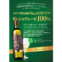 イタリア ディスカバー・イタリア サンジョヴェーゼ・イン・ビアンコ 白ワイン 辛口 750ml 1本 モンテ物産