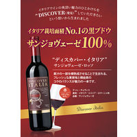 イタリア ディスカバー・イタリア サンジョヴェーゼ・ロッソ 赤ワイン ミディアムボディ 750ml 1本 モンテ物産