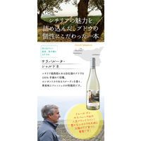 イタリア ドゥーカ・ディ・サラパルータ サラパルータ・シャルドネ 750ml 1本 モンテ物産