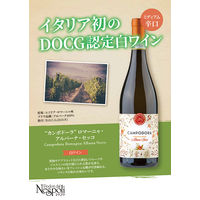 イタリア ポデーリ・ダル・ネスポリ カンポドーラ・ロマーニャ・アルバーナ 白ワイン 辛口 750ml 1本 モンテ物産