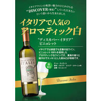 イタリア ディスカバー・イタリア ピニョレット 白ワイン 辛口 750ml 1本 モンテ物産