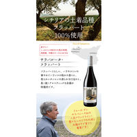 イタリア ドゥーカ・ディ・サラパルータ サラパルータ・フラッパート 赤ワイン ミディアムボディ 750ml 1本 モンテ物産