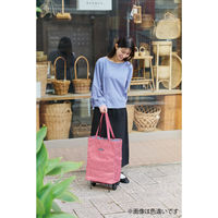 レップ ショッピングカート 折りたたみハンディトートカート 保冷保温 30L ストライプ ブルー 1台