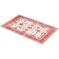 シャディ 【2袋セット】つまづきにくい薄型玄関マット 24-8202-503 1セット(2袋)（直送品）