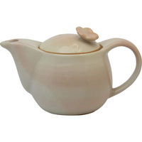 シャディ 【2箱セット】萩焼 ポット急須 華(茶コシ付) 24-8248-090 1セット(2箱)（直送品）