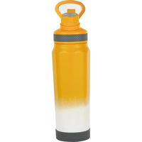 シャディ 【2箱セット】フォルテック キャリングボトル(530ml) 24-8249-969 1セット(2箱)（直送品）