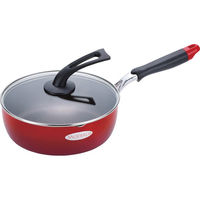 シャディ 【2箱セット】モデロス スーパーディープパン(24cm)ガラス蓋付 24-8264-630 1セット(2箱)（直送品）