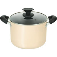 シャディ キナリフ IH対応シチューポット(22cm) 24-8280-857 1箱（直送品）