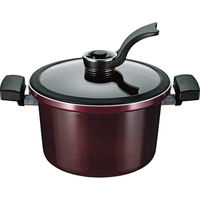 シャディ ビストニア IH対応真空煮込み鍋(19cm) 24-8318-943 1箱（直送品）