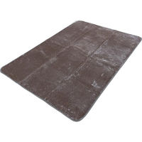 シャディ 洗えるラグ 24-8319-575 1袋（直送品）