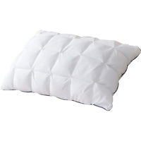 シャディ 雲の上のまくら 24-8321-251 1袋（直送品）