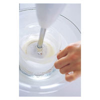 シャディ カイハウスセレクト クイックブレンダー デラックス 24-8332-750 1箱（直送品）