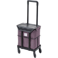 シャディ メロディカーゴ 24-8349-769 1箱（直送品）