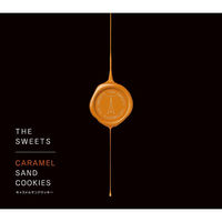 シャディ 【2箱セット】ザ・スウィーツ キャラメルサンドクッキー(20個) 25-0035-040 1セット(2箱)（直送品）