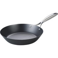 シャディ 窒化加工 鉄フライパン(24cm) 25-0273-021 1箱（直送品）