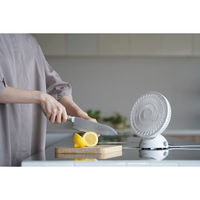 シャディ ツインバード USB給電式デスクファン 25-0325-030 1箱（直送品）