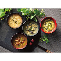 シャディ 【2箱セット】フリーズドライ おみそ汁&たまごスープ(20食) 25-0463-076 1セット(2箱)（直送品）