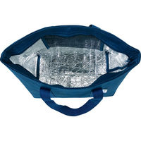 シャディ 【10袋セット】保温保冷トートバッグ 25-0510-030 1セット(10袋)（直送品）