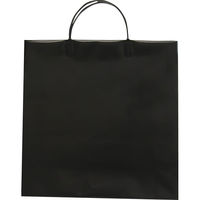 シャディ 【20個セット】無地ビニールバッグM 25-0512-042 1セット(20個)（直送品）