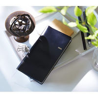 シャディ 【4箱セット】NOLTY WICアロー2 25-0536-022 1セット(4箱)（直送品）