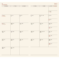 シャディ 【4箱セット】NOLTYエクセルマンスリー 25-0536-030 1セット(4箱)（直送品）