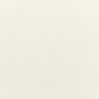 竹尾 心づく紙 竹簀の目 クリーム A4 10枚入 1747167 1セット(1袋×3)（直送品）