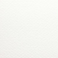 竹尾 DEEP PV ノビ モロー A3 10枚入 2000005 1個（直送品）