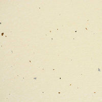 竹尾 彩現 メニュー・POP用紙 神楽 きなり A4 20枚入 1742049 1セット(1袋×2)（直送品）