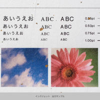 竹尾 心づく紙 金銀砂子入り雲龍 A4 10枚入 白 1743039 1セット(1袋×3)（直送品）