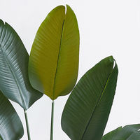 【軒先渡し】URBAN フェイクグリーン ストレチリア 幅800×奥行800×高さ1800mm アイボリー STR-180IV 1台（直送品）