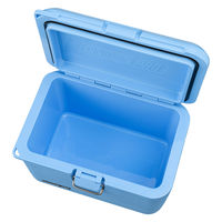 コールマン コールマンプロ/17QT(デイドリーム) 2218852 1個（直送品）