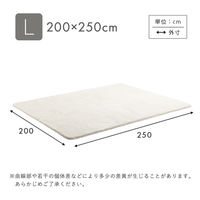 ホームテイスト ふわふわシャギーラグ Lサイズ 2000×2500mm アイボリー SHRG-L 1枚（直送品）