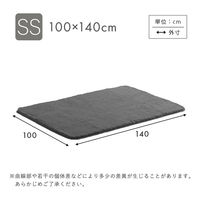 ホームテイスト ふわふわシャギーラグ SSサイズ 1000×1400mm ベージュ SHRG-SS 1枚（直送品）