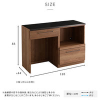 ホームテイスト ルゴ 特殊鋼板 キッチンカウンター オープン収納+ゴミ箱上カウンター ウォールナット SH-22-CKS120-AB 1台（直送品）