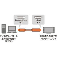 サンワサプライ DisplayPort-HDMI変換ケーブル 1m KC-DPHDA10 1本（わけあり品）