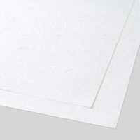 大直 大礼紙 白 A3 50枚入 206070101 1セット(50枚入)（わけあり品）