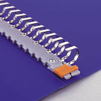 リヒトラブ クリヤーブック・ルポワイド 交換式 B4S 36穴 30ポケット 黒 N-4614-24 1冊（わけあり品）