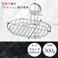 お風呂の壁にマグネット 石けん皿 【 浴室収納 】レック(B00077)（わけあり品）