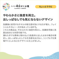クリネックス フェイシャルタオル 素肌-SUHADA 100枚入 日本製紙クレシア　クレンジングタオル 限定（わけあり品）