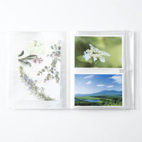 無印良品 ポリプロピレンフォト ハガキホルダー ２段 ２６４ポケット ２Ｌ対応 両面タイプ 良品計画（わけあり品）