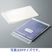 日本紙通商 OPP袋（テープ・フタ付き） 0.05mm厚 NPT-R21-008 B5 透明封筒 1袋（100枚入）（わけあり品）
