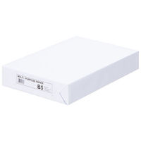 エイピーピー・ジャパン マルチパーパスペーパー コピー用紙 B5（1冊） IKH904（わけあり品）