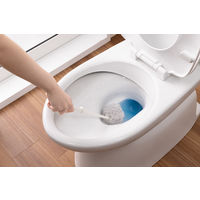 サンコー トイレブラシ 単品 DX 抗菌 サトミツ棒 1個 傷つきにくい 水だけで汚れが落とせる びっくりフレッシュ  BA-62
