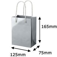 手提げ紙袋小物用　丸紐　シルバー　M　1袋（5枚入）　ハピラ（わけあり品）