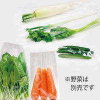 シモジマ ボードンパック#25 No.13 穴無 プラアリ 006763383 1袋(100枚入)（わけあり品）