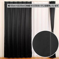 ユニベール ベルーイブラック W100xH210 4548654712734 1組(2枚)（わけあり品）