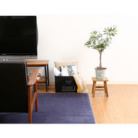 不二貿易 蓋付不織布インナーボックススタンダードBK(70455) 65285 1個