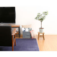 不二貿易 蓋付不織布インナーボックススタンダードGY(70456) 65286 1個