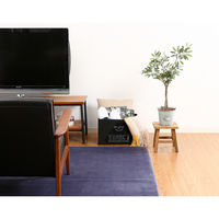 不二貿易 不織布インナーボックス スタンダード BK(70452) 65282 1個