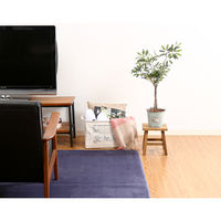 不二貿易 ファブリックインナーボックス 01 37131 1個